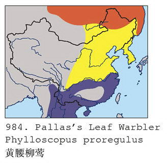 黄腰柳莺的地理分布图