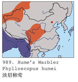 淡眉柳莺的地理分布图