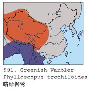 暗绿柳莺的地理分布图