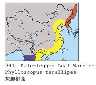 灰脚柳莺的地理分布图