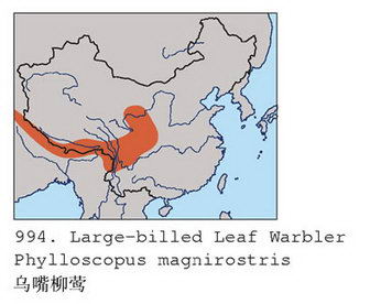 乌嘴柳莺的地理分布图