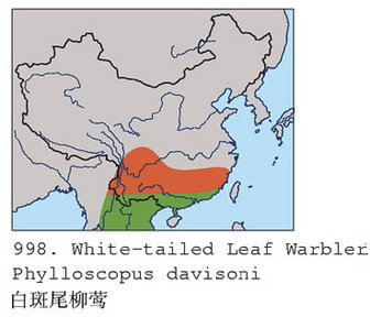 白斑尾柳莺的地理分布图