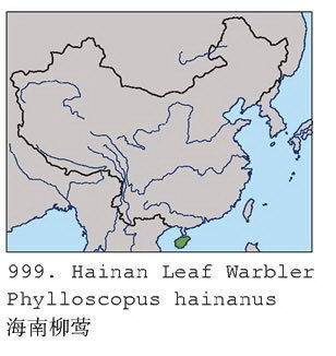 海南柳莺的地理分布图