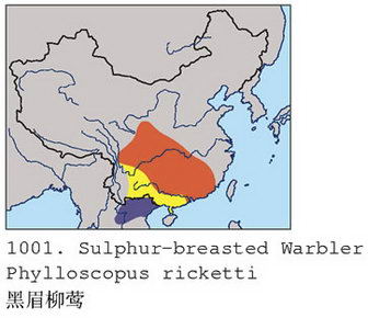 黑眉柳莺的地理分布图