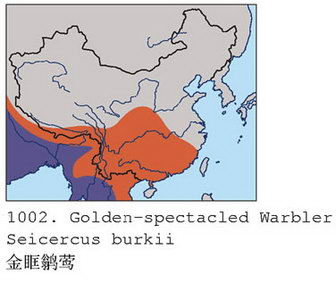 金眶鹟莺的地理分布图