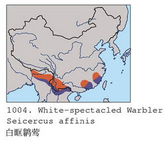 白眶鹟莺的地理分布图