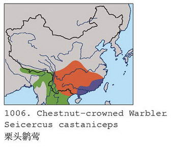 栗头鹟莺的地理分布图