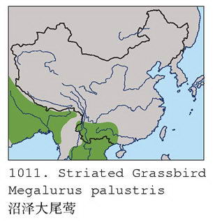 沼泽大尾莺的地理分布图