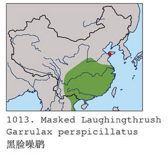 黑脸噪鹛的地理分布图