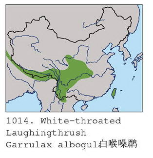 白喉噪鹛的地理分布图