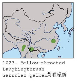 黄喉噪鹛的地理分布图