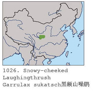 黑额山噪鹛的地理分布图