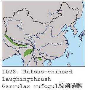 棕颏噪鹛的地理分布图