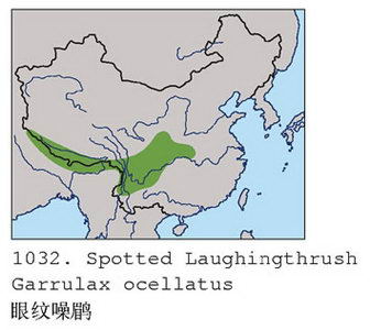 眼纹噪鹛的地理分布图