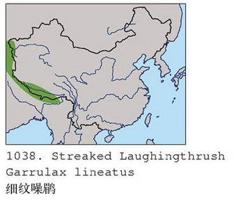 细纹噪鹛的地理分布图