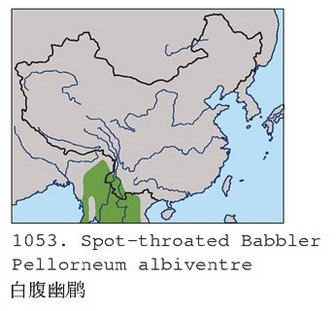 白腹幽鹛的地理分布图