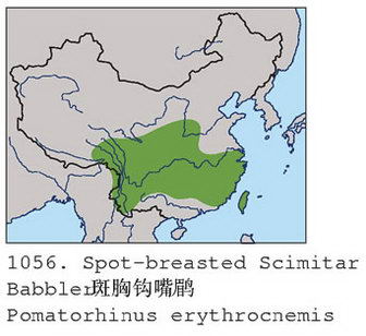 斑胸钩嘴鹛的地理分布图