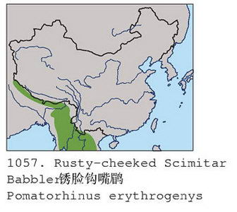 锈脸钩嘴鹛的地理分布图