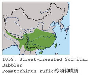 棕颈钩嘴鹛的地理分布图