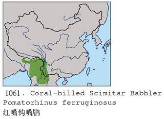 红嘴钩嘴鹛的地理分布图