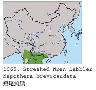 短尾鹪鹛的地理分布图