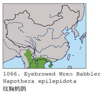 纹胸鹪鹛的地理分布图