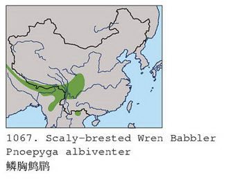 鳞胸鹪鹛的地理分布图