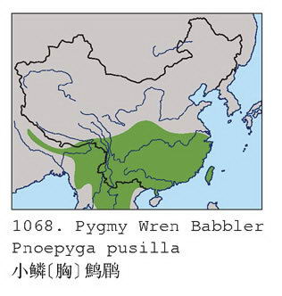 小鳞[胸]鹪鹛的地理分布图