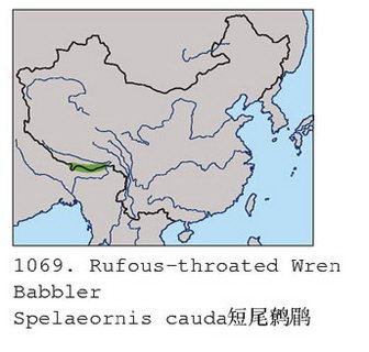 短尾鹩鹛的地理分布图