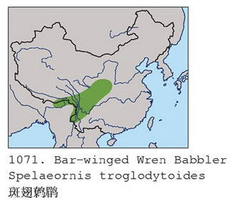 斑翅鹩鹛的地理分布图