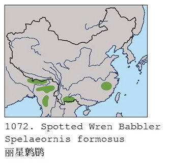 丽星鹩鹛的地理分布图