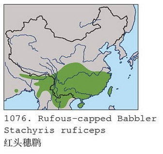 红头穗鹛的地理分布图