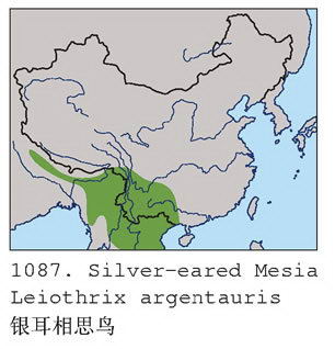 银耳相思鸟的地理分布图