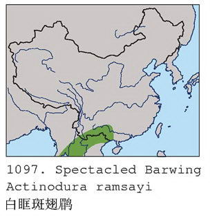 白眶斑翅鹛的地理分布图