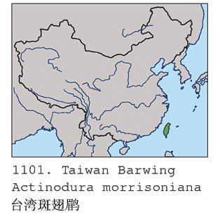 台湾斑翅鹛的地理分布图