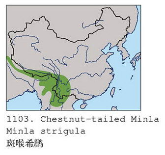 斑喉希鹛的地理分布图