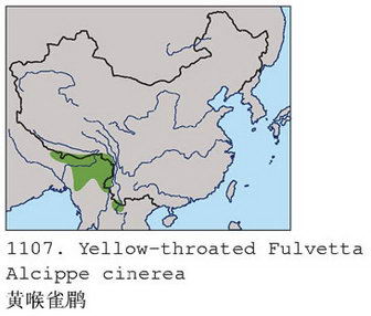 黄喉雀鹛的地理分布图