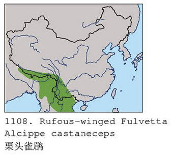 栗头雀鹛的地理分布图