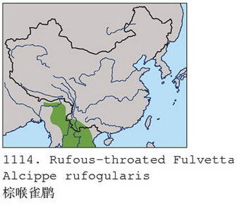 棕喉雀鹛的地理分布图