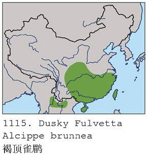 褐顶雀鹛的地理分布图