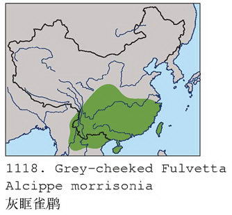 灰眶雀鹛的地理分布图