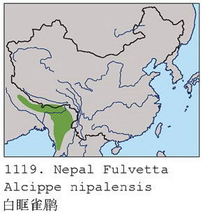 白眶雀鹛的地理分布图