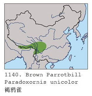 褐鸦雀的地理分布图