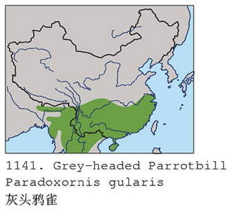 灰头鸦雀的地理分布图