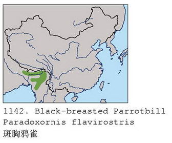 斑胸鸦雀的地理分布图