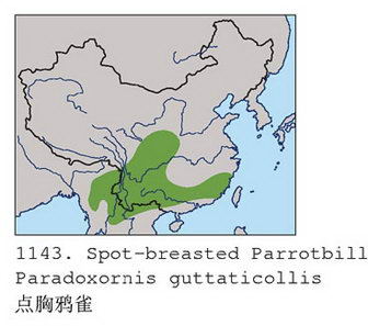 点胸鸦雀的地理分布图