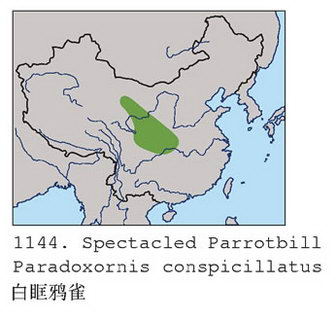 白眶鸦雀的地理分布图