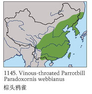 棕头鸦雀的地理分布图