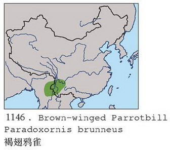 褐翅鸦雀的地理分布图