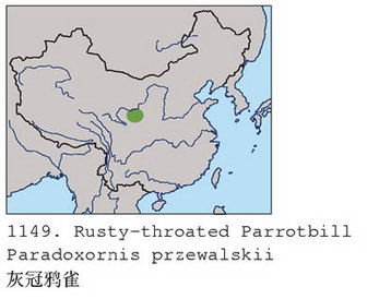 灰冠鸦雀的地理分布图